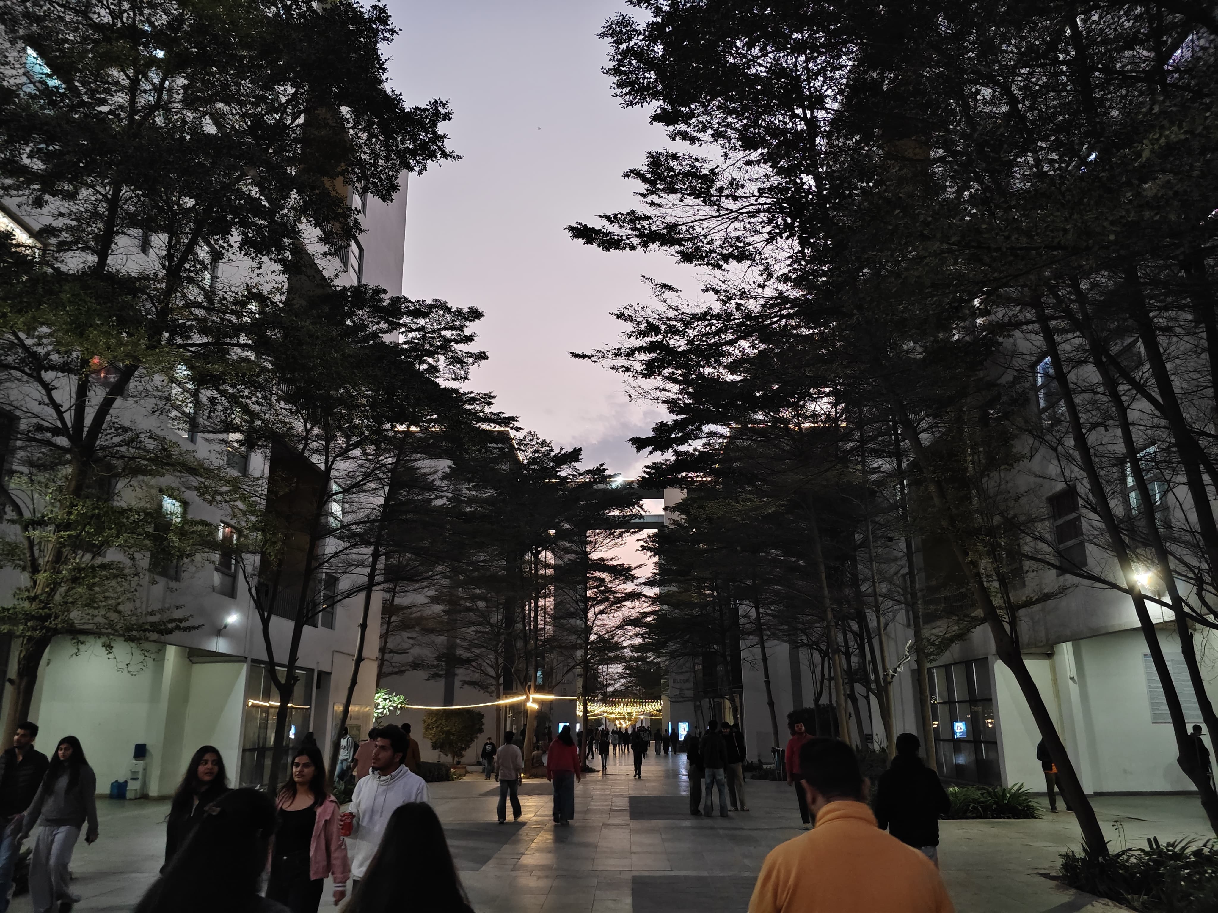 Bennett University Greater Noida Academic Building photo 21